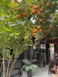 綿竹年畫村～～明清園