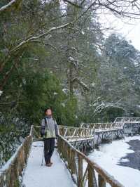 成都出發2h在白雪森林中發現藍冰瀑布