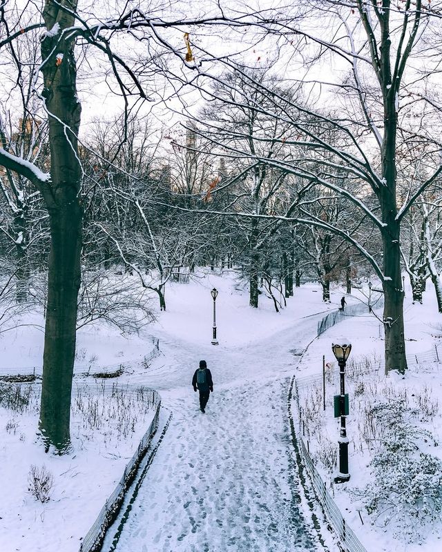 冬日中央公園：邂逅紐約的夢幻雪景