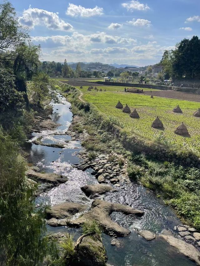 國清寺，農禪景觀，心靈的禪意之旅