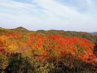 韓城香山紅葉|出彩的山景