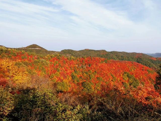 韓城香山紅葉|出彩的山景