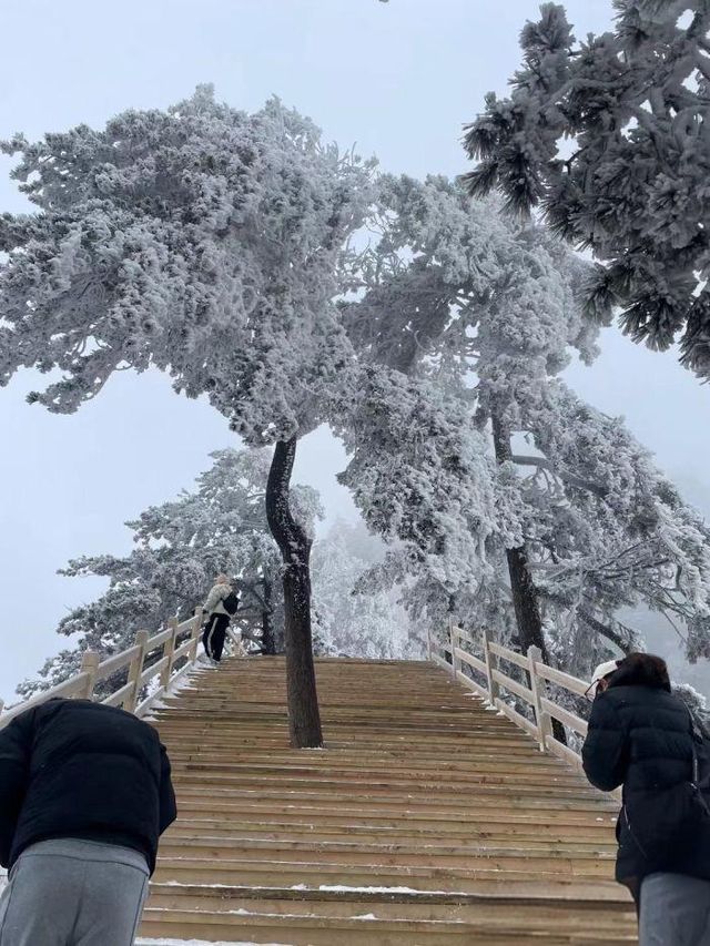 光霧山必打卡清單，帶你嗨玩不迷路