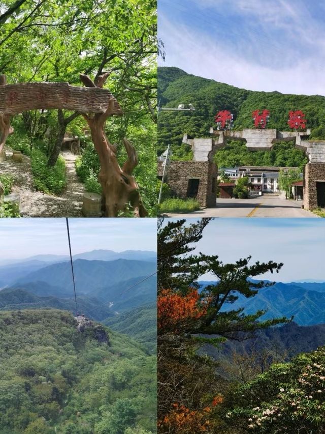 商洛旅遊攻略丨探秘秦嶺下的古韻小鎮