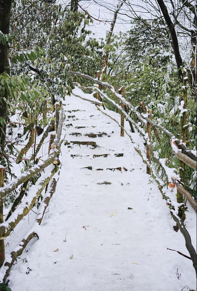 四川神瀑溝景區