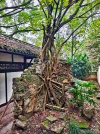 合川區     釣魚城景區-忠義祠