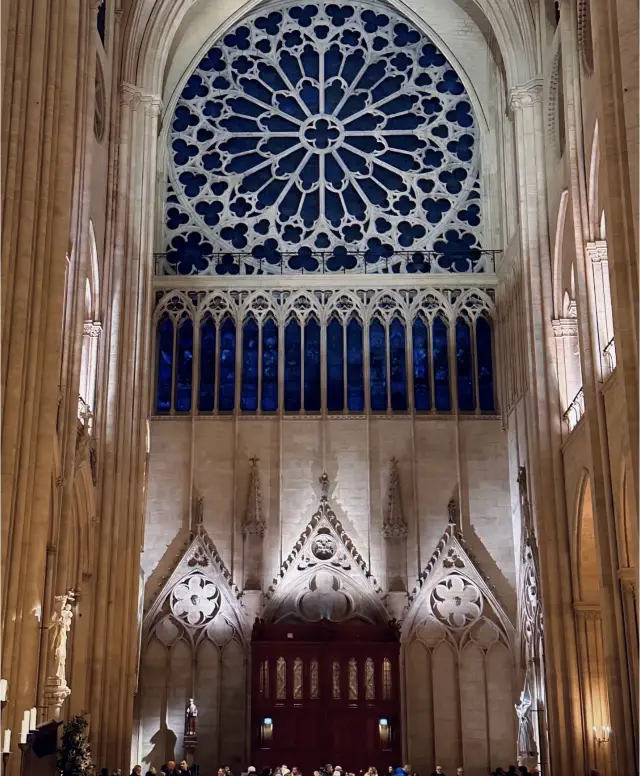 超可愛的巴黎聖母院遊玩指南,快收藏!