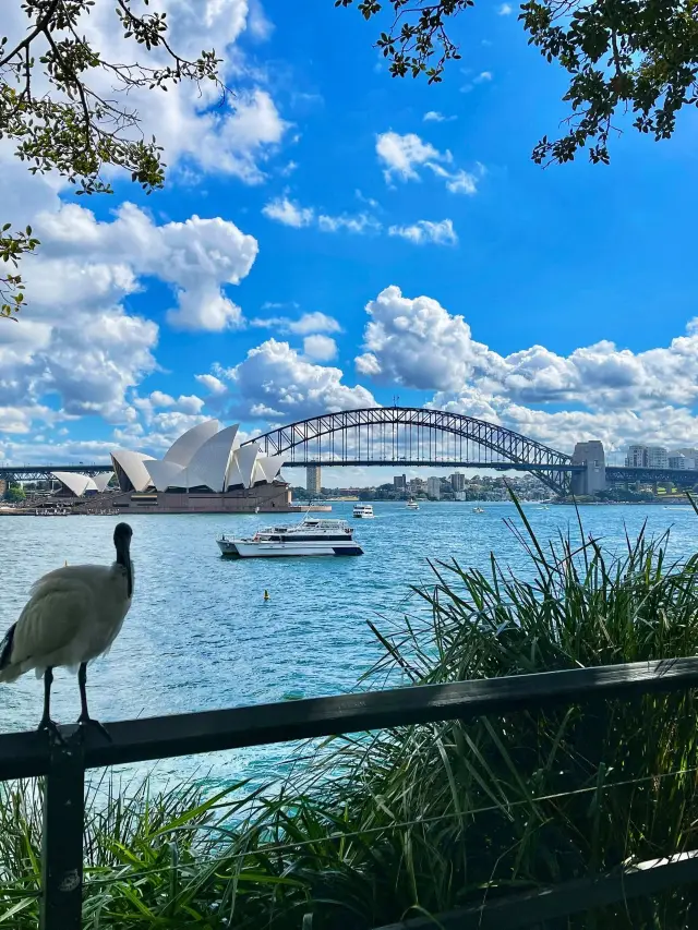 8-Day Australian Adventure | Forest Journey and Embrace Nature