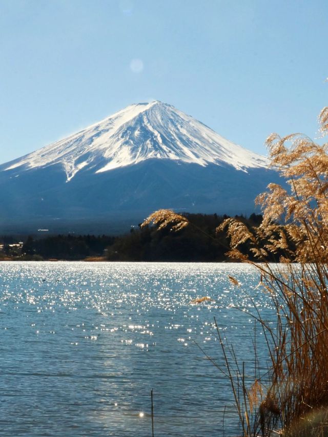 日本7日深度遊：泡真溫泉 盡享愜意