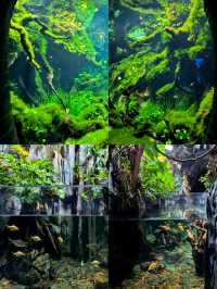 上海植物園，玻璃穹頂下的植物百科。