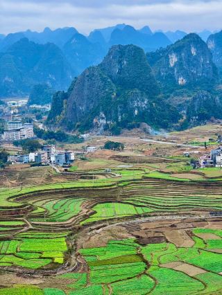 Let the world see the Guangxi Hechi Zhuang Ant Festival! ! Attached guide