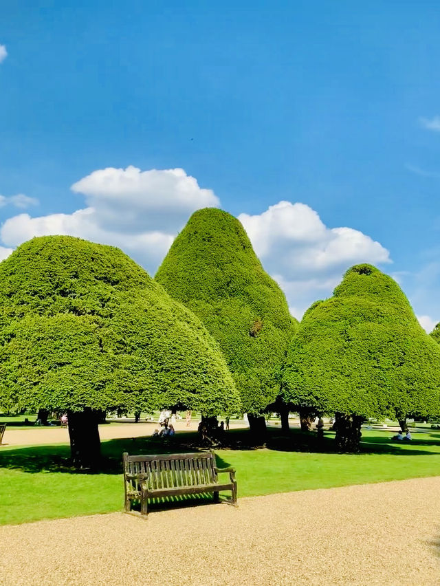 Hampton Court Palace  🌳