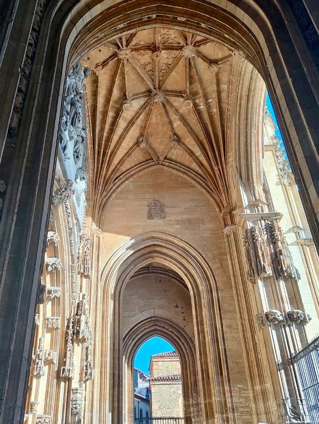 Exploring Oviedo: San Isidoro Church and the Cathedral 🏰⛪