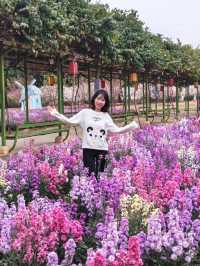 盈香心動樂園：一場既心動又心跳的夢幻之旅！
