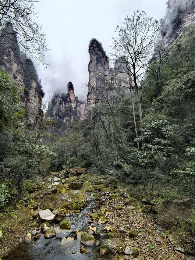 桂林4日 探索自然山水之美