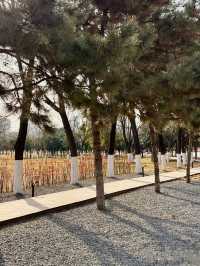 鍾意西安每個有陽光嘅日子