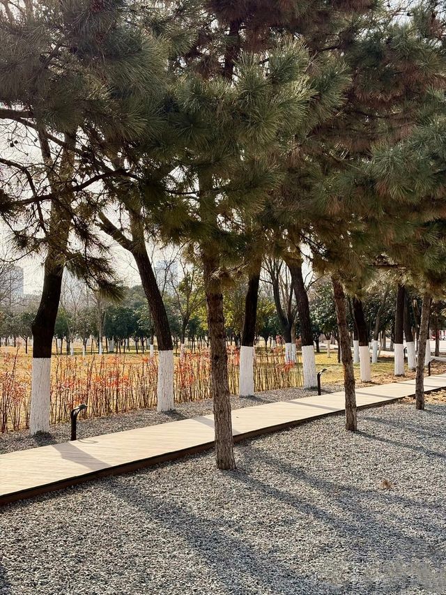 鍾意西安每個有陽光嘅日子 鍾意西安每個有陽光嘅日子