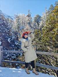 稻城亞丁9小時極致之旅|每一幀都是仙境。