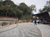 恩上濕地公園：期待與現實