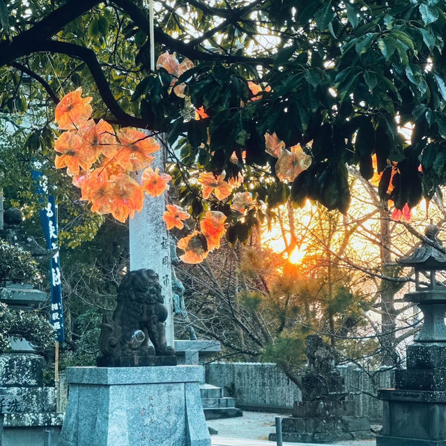 福岡宮地獄神社絕景🌆這種宿命感誰懂啊？