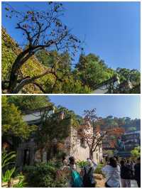 贛東北探秋丨婺源篁嶺景區b