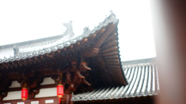 杭州德壽宮｜離開杭州前一定要去一次
