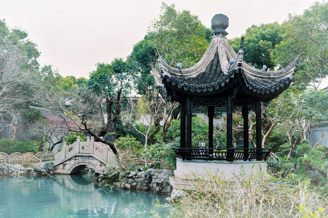 比起拙政園，我更喜歡這個極其小眾的寶藏園林