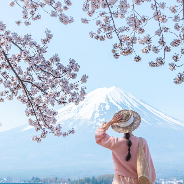 留一個春天給櫻花富士山🌸 真的美瘋