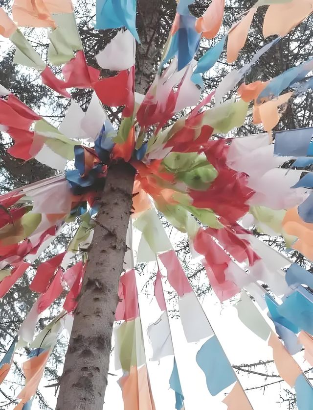 探索神秘之地—達瓦更扎
