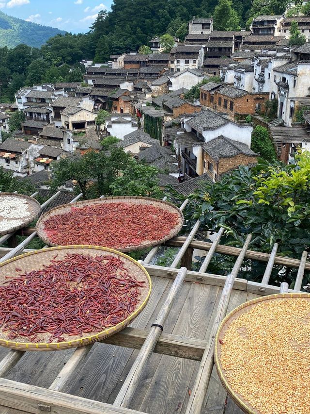 清明小長假 九江-景德鎮-上饒遊玩全攻略