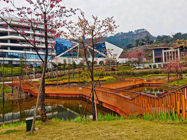 坐落在金沙江畔的公園
