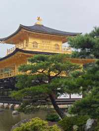 小長假玩轉日本8日深度遊攻略