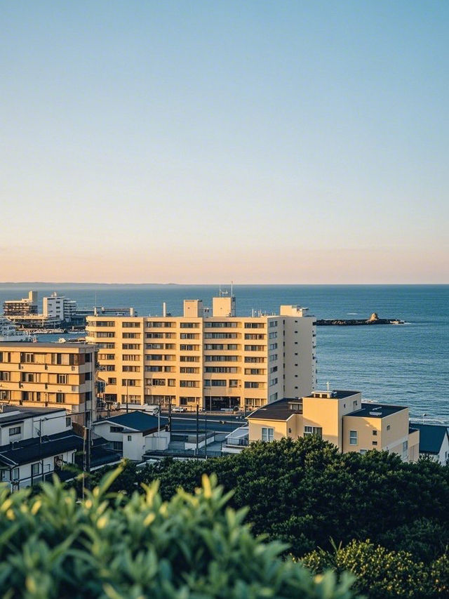 深度暢遊日本三島市：解鎖小眾寶藏地的獨特風情之旅