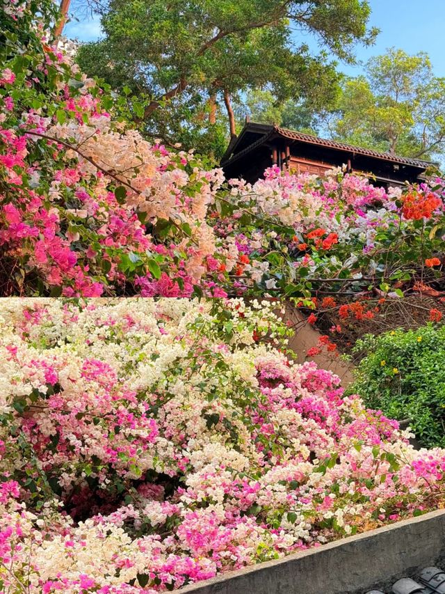 「人生是一萬次的春和景明」