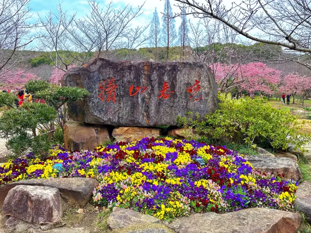 봄 한정|우시 난찬사+원터우주 벚꽃놀이 가이드