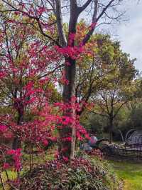 上海吳淞炮台灣國家濕地公園