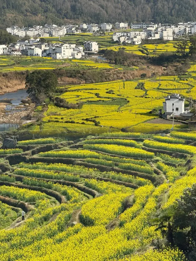 Wuyuan | A Golden Fairytale in the Rapeseed Flower Fields