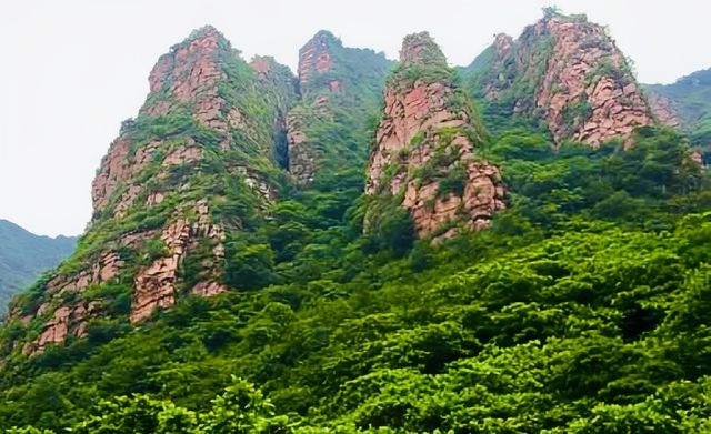 天津薊州篇——夏日出逃之梨木台