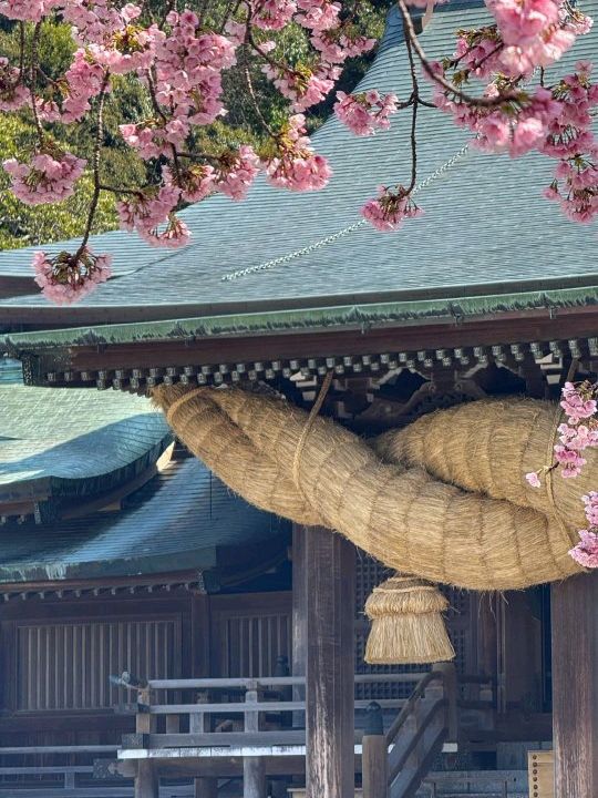 福岡探秘：幽冥地獄神社與清修南藏院之旅