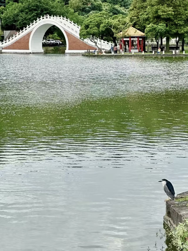 湖光水色：漫步大湖的靜謐詩意