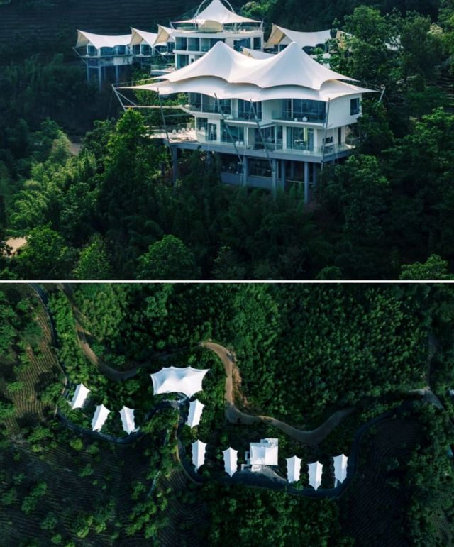 在安吉！！入住坐擁整片茶山的雲端帳篷酒店