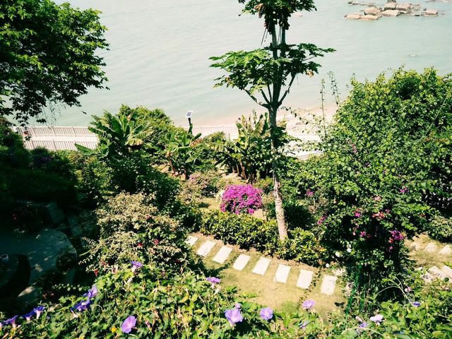 【廈門攻略】3天2晚玩轉海上花園，本地人私藏路線大公開！