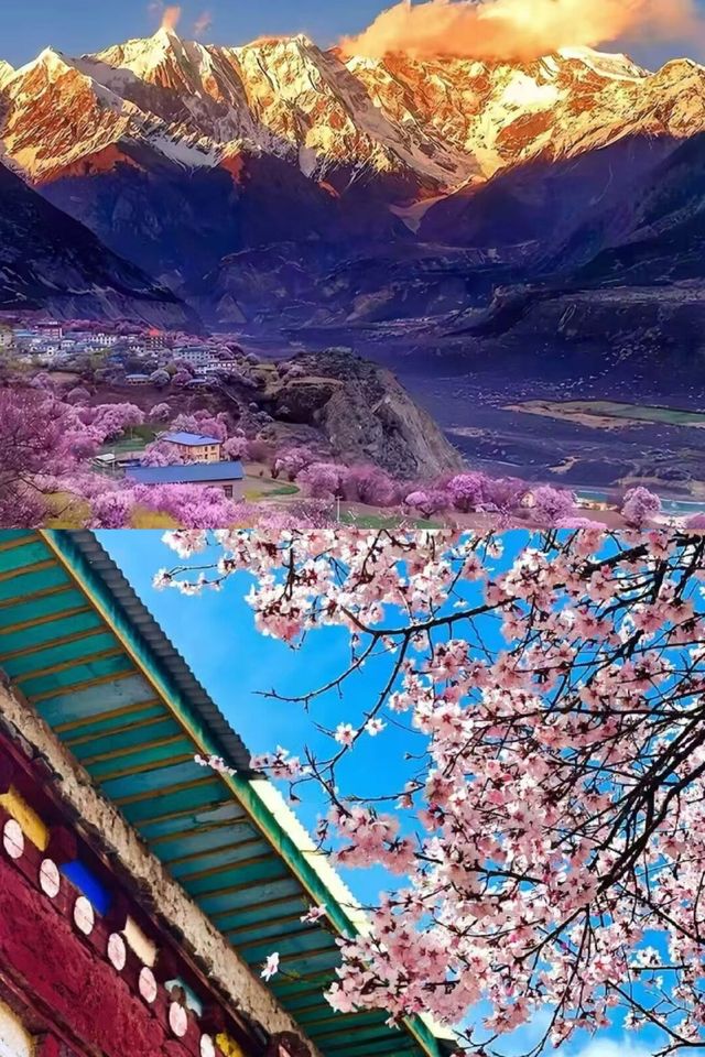 這裡真的不是外國！這裡是西藏林芝！絕美