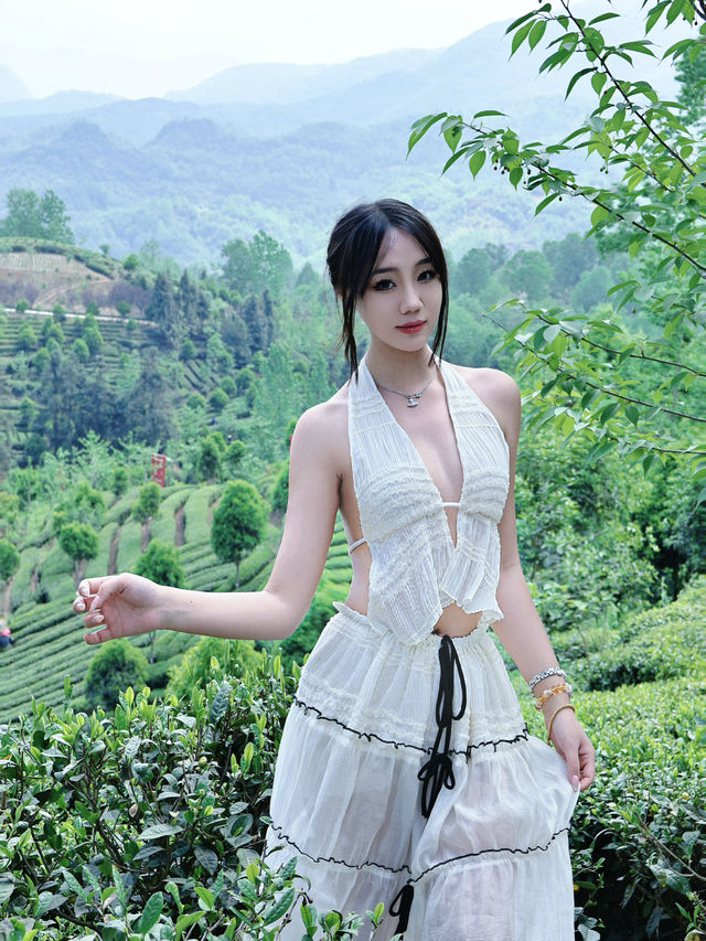 前方到站——漢中西鄉•綠葉仙蹤