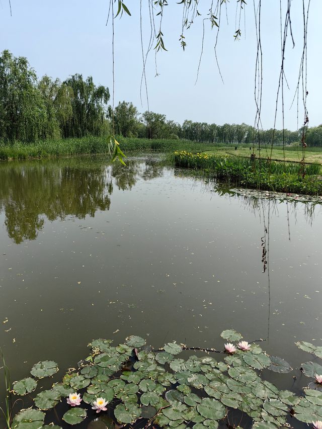 環遊巢湖