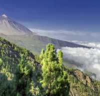 加那利群島：火山把它變成了另一顆星球