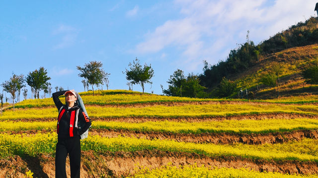 滇紅之旅---鳳慶