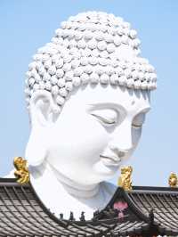 溧水旅行｜龍貓海草東廬山森系與落日詩意