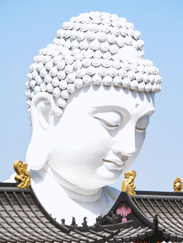 溧水旅行｜龍貓海草東廬山森系與落日詩意
