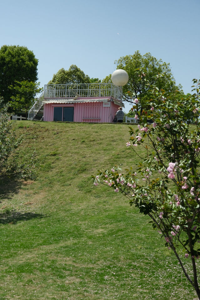 杭州臨安萬豪過週末，真實入住體驗